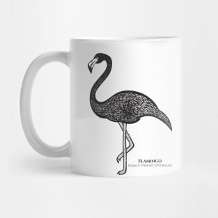 Flamingo with Common and Latin Names - detailed ink art bird design Mug
